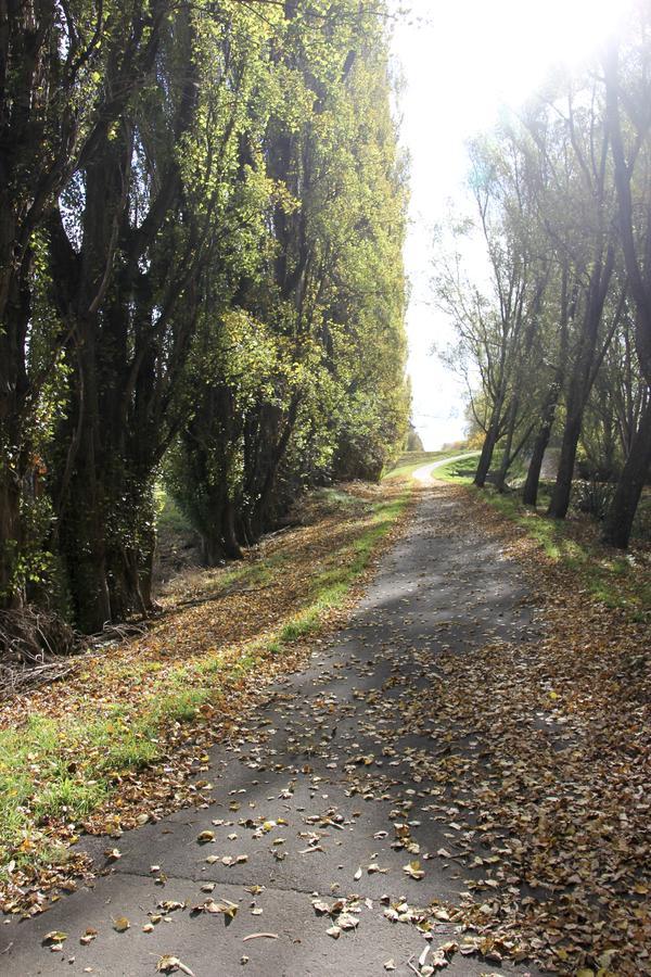 Refreshstay Palmerston North Kültér fotó
