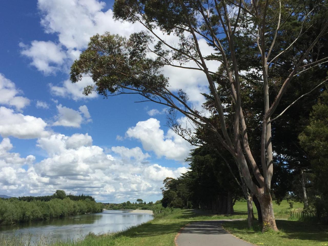 Refreshstay Palmerston North Kültér fotó